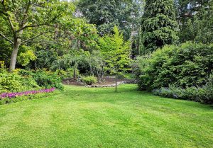 Optimiser l'expérience du jardin à Gagnac-sur-Cere